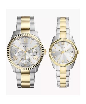 Set Ceas barbatesc si Ceas dama Fossil FS5987SET His and Hers Multifunction Two-Tone Stainless Steel Watch Set (FS5987SET) oferit de magazinul Japora